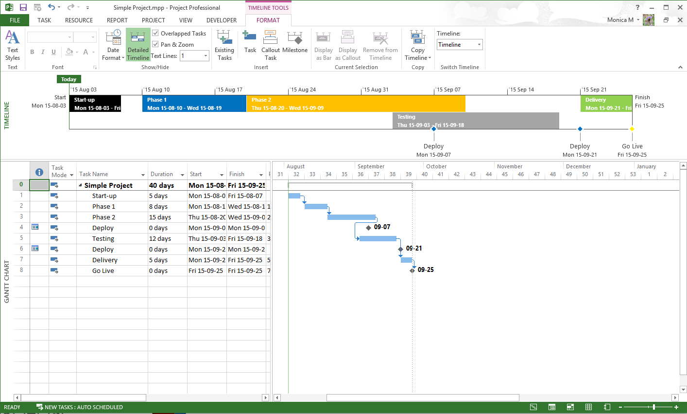 Display Ms Project Gantt Chart In Sharepoint